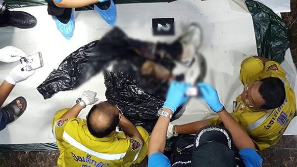 เผยผลชันสูตรศพถูกฆ่าซุกตู้แช่ คาดเป็นชาวฮังการี ถูกวางยาตาย เผยผลชันสูตรศพถูกฆ่าซุกตู้แช่ คาดเป็นชาวฮังการี ถูกวางยาตาย