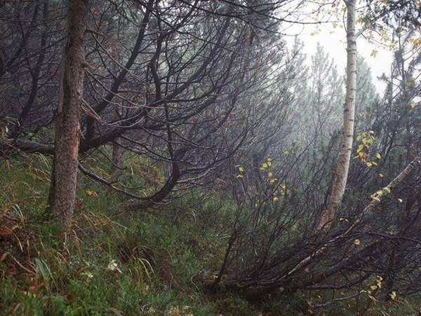 เนียนขั้นเทพ ภาพการพรางตัวของสไนเปอร์ หาตัวเจอกันไหมเนี่ย !? เนียนขั้นเทพ ภาพการพรางตัวของสไนเปอร์ หาตัวเจอกันไหมเนี่ย !?