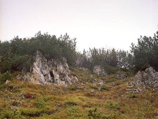 เนียนขั้นเทพ ภาพการพรางตัวของสไนเปอร์ หาตัวเจอกันไหมเนี่ย !? เนียนขั้นเทพ ภาพการพรางตัวของสไนเปอร์ หาตัวเจอกันไหมเนี่ย !?