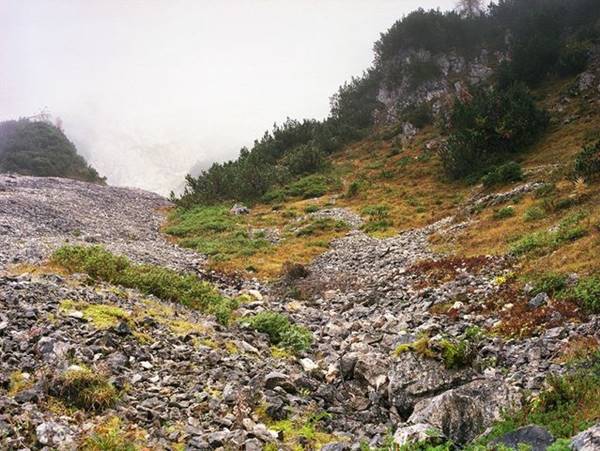 เนียนขั้นเทพ ภาพการพรางตัวของสไนเปอร์ หาตัวเจอกันไหมเนี่ย !? เนียนขั้นเทพ ภาพการพรางตัวของสไนเปอร์ หาตัวเจอกันไหมเนี่ย !?