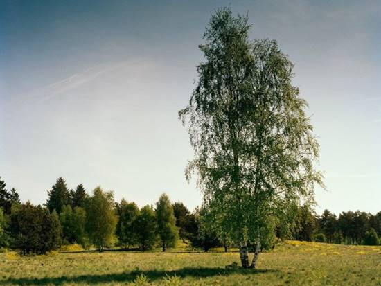 เนียนขั้นเทพ ภาพการพรางตัวของสไนเปอร์ หาตัวเจอกันไหมเนี่ย !? เนียนขั้นเทพ ภาพการพรางตัวของสไนเปอร์ หาตัวเจอกันไหมเนี่ย !?