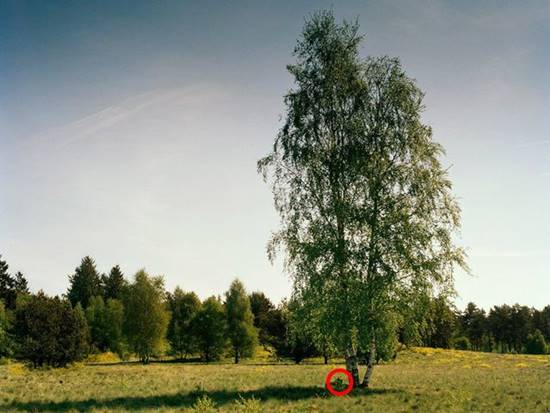 เนียนขั้นเทพ ภาพการพรางตัวของสไนเปอร์ หาตัวเจอกันไหมเนี่ย !? เนียนขั้นเทพ ภาพการพรางตัวของสไนเปอร์ หาตัวเจอกันไหมเนี่ย !?