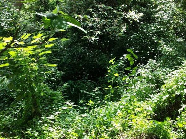 เนียนขั้นเทพ ภาพการพรางตัวของสไนเปอร์ หาตัวเจอกันไหมเนี่ย !? เนียนขั้นเทพ ภาพการพรางตัวของสไนเปอร์ หาตัวเจอกันไหมเนี่ย !?