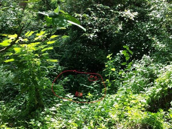 เนียนขั้นเทพ ภาพการพรางตัวของสไนเปอร์ หาตัวเจอกันไหมเนี่ย !? เนียนขั้นเทพ ภาพการพรางตัวของสไนเปอร์ หาตัวเจอกันไหมเนี่ย !?