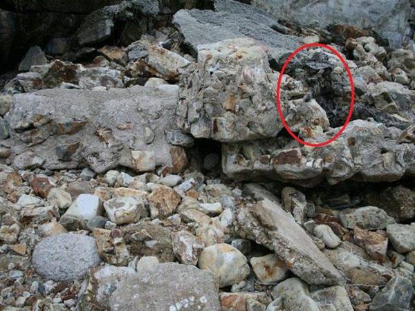 เนียนขั้นเทพ ภาพการพรางตัวของสไนเปอร์ หาตัวเจอกันไหมเนี่ย !? เนียนขั้นเทพ ภาพการพรางตัวของสไนเปอร์ หาตัวเจอกันไหมเนี่ย !?