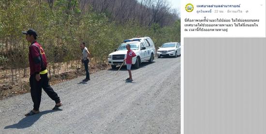 เทศบาลลำนารายณ์ ขอใช้การ์ดรู้เท่าไม่ถึงการณ์ บอกไม่รู้เป็นแมวเบงกอลจริง ๆ เทศบาลลำนารายณ์ ขอใช้การ์ดรู้เท่าไม่ถึงการณ์ บอกไม่รู้เป็นแมวเบงกอลจริง ๆ