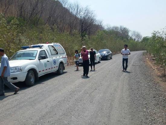 เทศบาลลำนารายณ์ ขอใช้การ์ดรู้เท่าไม่ถึงการณ์ บอกไม่รู้เป็นแมวเบงกอลจริง ๆ เทศบาลลำนารายณ์ ขอใช้การ์ดรู้เท่าไม่ถึงการณ์ บอกไม่รู้เป็นแมวเบงกอลจริง ๆ