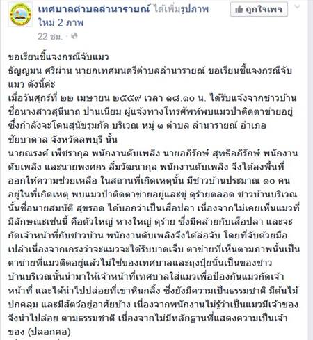 เทศบาลลำนารายณ์ ขอใช้การ์ดรู้เท่าไม่ถึงการณ์ บอกไม่รู้เป็นแมวเบงกอลจริง ๆ เทศบาลลำนารายณ์ ขอใช้การ์ดรู้เท่าไม่ถึงการณ์ บอกไม่รู้เป็นแมวเบงกอลจริง ๆ