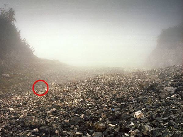 เนียนขั้นเทพ ภาพการพรางตัวของสไนเปอร์ หาตัวเจอกันไหมเนี่ย !? เนียนขั้นเทพ ภาพการพรางตัวของสไนเปอร์ หาตัวเจอกันไหมเนี่ย !?