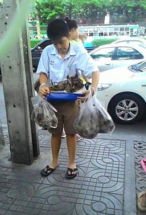 น้องฟิวส์ น้องฟิวส์