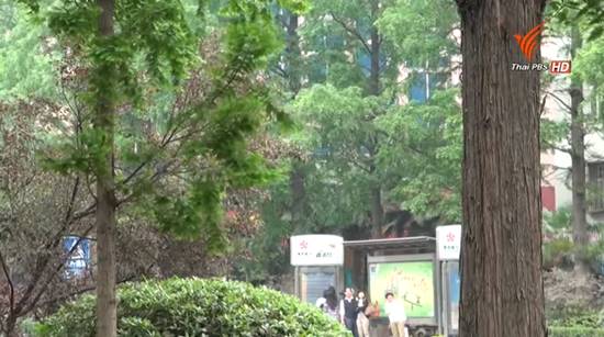 แชร์สนั่น ภาพเปรียบเทียบกรุงเทพฯ 5 ปีก่อน-ปัจจุบัน ต้นไม้หายไปไหน ? แชร์สนั่น ภาพเปรียบเทียบกรุงเทพฯ 5 ปีก่อน-ปัจจุบัน ต้นไม้หายไปไหน ?