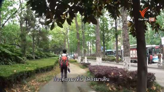 แชร์สนั่น ภาพเปรียบเทียบกรุงเทพฯ 5 ปีก่อน-ปัจจุบัน ต้นไม้หายไปไหน ? แชร์สนั่น ภาพเปรียบเทียบกรุงเทพฯ 5 ปีก่อน-ปัจจุบัน ต้นไม้หายไปไหน ?