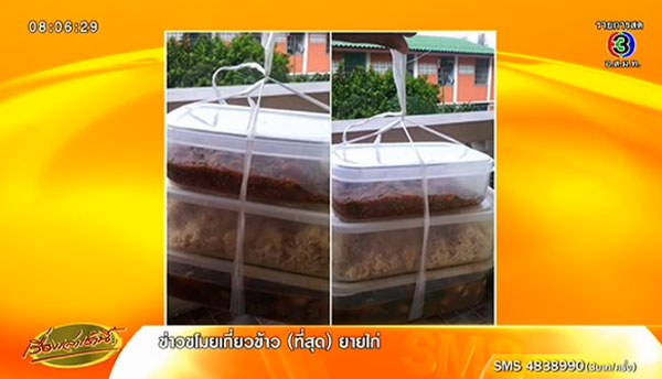 สุวรรภูมิออกกฏห้ามใช้กล่องโฟม-ถุงพลาสติก พนักงานโวยเดือดร้อนมาก สุวรรภูมิออกกฏห้ามใช้กล่องโฟม-ถุงพลาสติก พนักงานโวยเดือดร้อนมาก