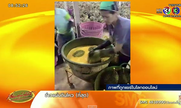 แชร์ว่อน ! ภาพทุเรียนแช่ฟอร์มาลีน-เกษตรเมืองจัน ยัน ปลอดภัยไร้สาร แชร์ว่อน ! ภาพทุเรียนแช่ฟอร์มาลีน-เกษตรเมืองจัน ยัน ปลอดภัยไร้สาร