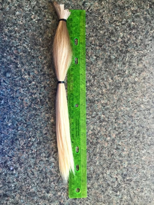 เด็กชาย 8 ขวบ ยอมไว้ผมยาว 2 ปี มุ่งมั่นทำสิ่งทียิ่งใหญ่ แม้ต้องถูกล้อ เด็กชาย 8 ขวบ ยอมไว้ผมยาว 2 ปี มุ่งมั่นทำสิ่งทียิ่งใหญ่ แม้ต้องถูกล้อ