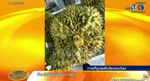 แชร์ว่อน ! ภาพทุเรียนแช่ฟอร์มาลีน-เกษตรเมืองจัน ยัน ปลอดภัยไร้สาร แชร์ว่อน ! ภาพทุเรียนแช่ฟอร์มาลีน-เกษตรเมืองจัน ยัน ปลอดภัยไร้สาร