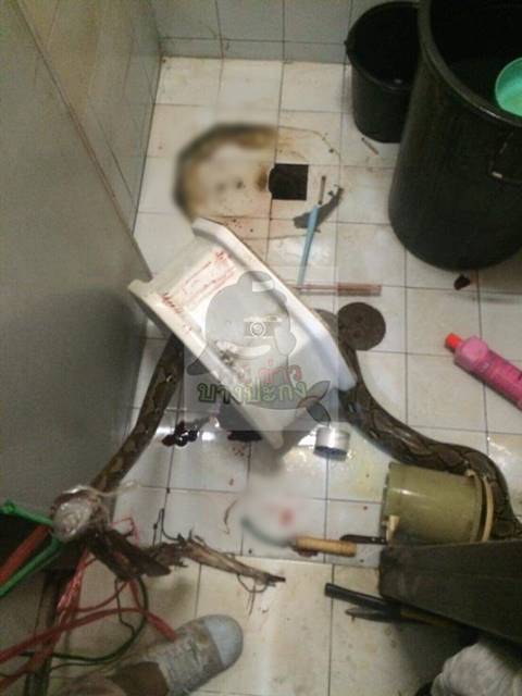 สยองหนักมาก งูเหลือมพุ่งจากคอห่านงับเจ้าโลกหนุ่ม อาการสาหัส สยองหนักมาก งูเหลือมพุ่งจากคอห่านงับเจ้าโลกหนุ่ม อาการสาหัส