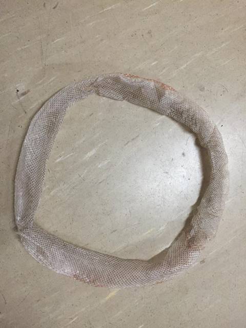 งูหลามสุดบ๊องลอกคราบแล้วออกไม่ได้ เลื้อยวนในคราบวงกลมร่วม 3 ชั่วโมง งูหลามสุดบ๊องลอกคราบแล้วออกไม่ได้ เลื้อยวนในคราบวงกลมร่วม 3 ชั่วโมง