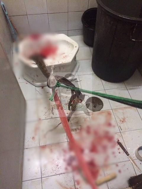 สยองหนักมาก งูเหลือมพุ่งจากคอห่านงับเจ้าโลกหนุ่ม อาการสาหัส สยองหนักมาก งูเหลือมพุ่งจากคอห่านงับเจ้าโลกหนุ่ม อาการสาหัส