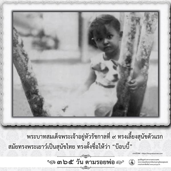 365 วันตามรอยพ่อ พระบรมฉายาลักษณ์ ในหลวง ร.9 เมื่อครั้งทรงพระเยาว์ 365 วันตามรอยพ่อ พระบรมฉายาลักษณ์ ในหลวง ร.9 เมื่อครั้งทรงพระเยาว์