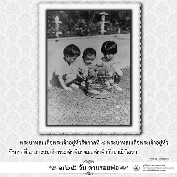 365 วันตามรอยพ่อ พระบรมฉายาลักษณ์ ในหลวง ร.9 เมื่อครั้งทรงพระเยาว์ 365 วันตามรอยพ่อ พระบรมฉายาลักษณ์ ในหลวง ร.9 เมื่อครั้งทรงพระเยาว์365 วันตามรอยพ่อ พระบรมฉายาลักษณ์ ในหลวง ร.9 เมื่อครั้งทรงพระเยาว์