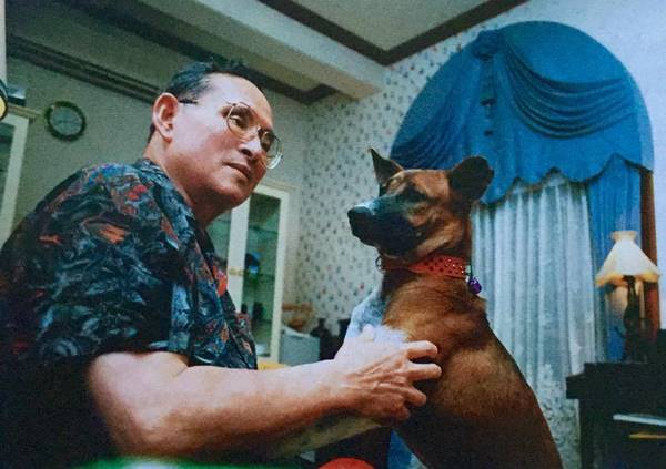 รวมภาพหาชมยาก ในหลวง ทรงฉายภาพกับสุนัขทรงเลี้ยง รวมภาพหาชมยาก ในหลวง ทรงฉายภาพกับสุนัขทรงเลี้ยง