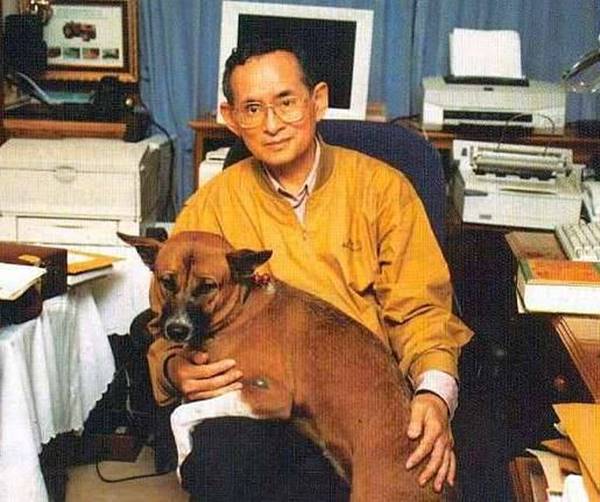 รวมภาพหาชมยาก ในหลวง ทรงฉายภาพกับสุนัขทรงเลี้ยง รวมภาพหาชมยาก ในหลวง ทรงฉายภาพกับสุนัขทรงเลี้ยง