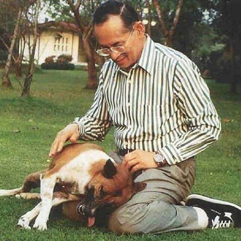 รวมภาพหาชมยาก ในหลวง ทรงฉายภาพกับสุนัขทรงเลี้ยง รวมภาพหาชมยาก ในหลวง ทรงฉายภาพกับสุนัขทรงเลี้ยงรวมภาพหาชมยาก ในหลวง ทรงฉายภาพกับสุนัขทรงเลี้ยง