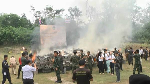 เด็ก ๆ -ชาวบ้าน จ.บึงกาฬ ร่วมมือภาครัฐ เผาทำลายกัญชา 8.08 ตัน เด็ก ๆ -ชาวบ้าน จ.บึงกาฬ ร่วมมือภาครัฐ เผาทำลายกัญชา 8.08 ตัน