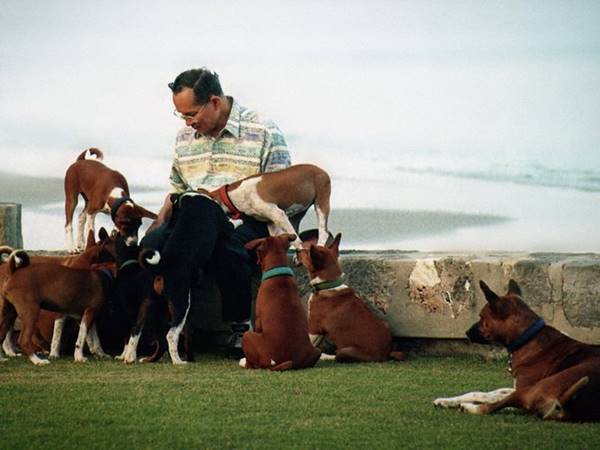 รวมภาพหาชมยาก ในหลวง ทรงฉายภาพกับสุนัขทรงเลี้ยง รวมภาพหาชมยาก ในหลวง ทรงฉายภาพกับสุนัขทรงเลี้ยง