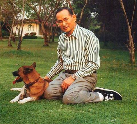 รวมภาพหาชมยาก ในหลวง ทรงฉายภาพกับสุนัขทรงเลี้ยง รวมภาพหาชมยาก ในหลวง ทรงฉายภาพกับสุนัขทรงเลี้ยง