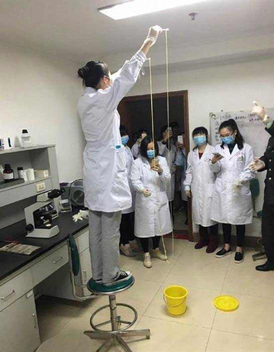 สะพรึง พบพยาธิยาว 5 เมตรในท้องผู้ป่วย เผยชอบกินซาชิมิ สะพรึง พบพยาธิยาว 5 เมตรในท้องผู้ป่วย เผยชอบกินซาชิมิ