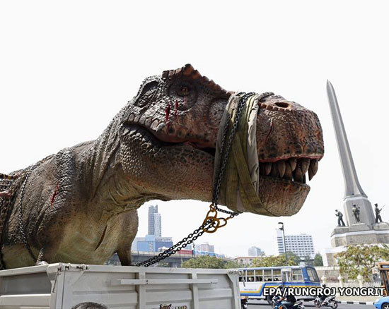 จ่อเรียกเสียค่าปรับ หุ่นไดโนเสาร์จำลองทำการจราจรติดขัด-คนแห่เซลฟี่ จ่อเรียกเสียค่าปรับ หุ่นไดโนเสาร์จำลองทำการจราจรติดขัด-คนแห่เซลฟี่