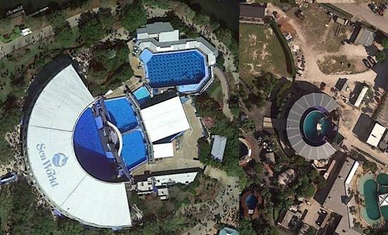 สลดใจ พิพิธภัณฑ์สัตว์น้ำขังวาฬเพชฌฆาตในแทงก์แคบ อยู่โดดเดี่ยวมานานกว่า 35 ปี สลดใจ พิพิธภัณฑ์สัตว์น้ำขังวาฬเพชฌฆาตในแทงก์แคบ อยู่โดดเดี่ยวมานานกว่า 35 ปี