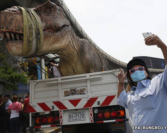 จ่อเรียกเสียค่าปรับ หุ่นไดโนเสาร์จำลองทำการจราจรติดขัด-คนแห่เซลฟี่ จ่อเรียกเสียค่าปรับ หุ่นไดโนเสาร์จำลองทำการจราจรติดขัด-คนแห่เซลฟี่