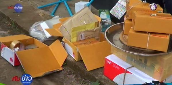 รวบแก๊งหนุ่มแสบปลูกกัญชานาโนขาย รวบแก๊งหนุ่มแสบปลูกกัญชานาโนขาย