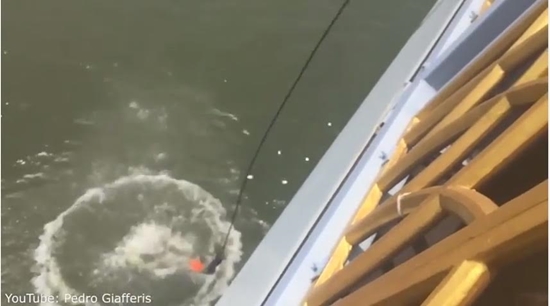 ระทึก ! สาวโดดบันจี้จัมพ์พลาดร่างกระแทกน้ำอย่างจัง กลางกองถ่ายโฆษณา ระทึก ! สาวโดดบันจี้จัมพ์พลาดร่างกระแทกน้ำอย่างจัง กลางกองถ่ายโฆษณา