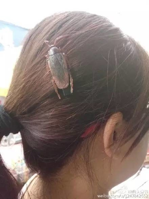 จีนไปไกลแล้ว นำเทรนด์กิ๊บอาหารติดผม หมู หมึก กุ้ง แมลงสาบก็มา จีนไปไกลแล้ว นำเทรนด์กิ๊บอาหารติดผม หมู หมึก กุ้ง แมลงสาบก็มา