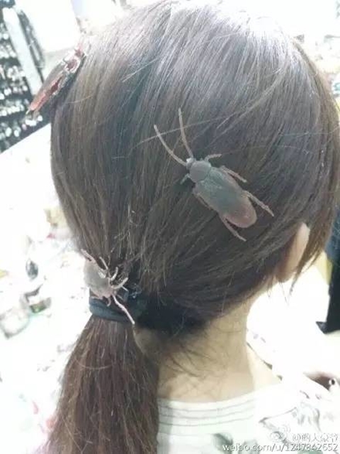 จีนไปไกลแล้ว นำเทรนด์กิ๊บอาหารติดผม หมู หมึก กุ้ง แมลงสาบก็มา จีนไปไกลแล้ว นำเทรนด์กิ๊บอาหารติดผม หมู หมึก กุ้ง แมลงสาบก็มา