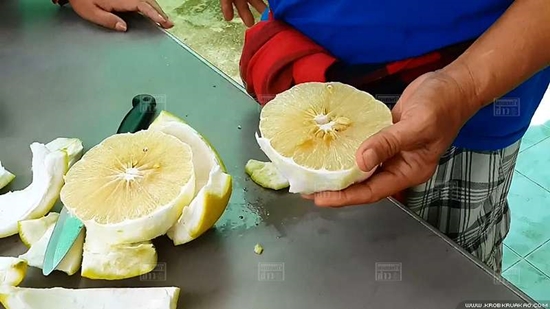 ขอนแก่นพบมะนาวยักษ์ ใหญ่เท่าลูกส้มโอ เล็งเพาะพันธุ์แจก ขอนแก่นพบมะนาวยักษ์ ใหญ่เท่าลูกส้มโอ เล็งเพาะพันธุ์แจก