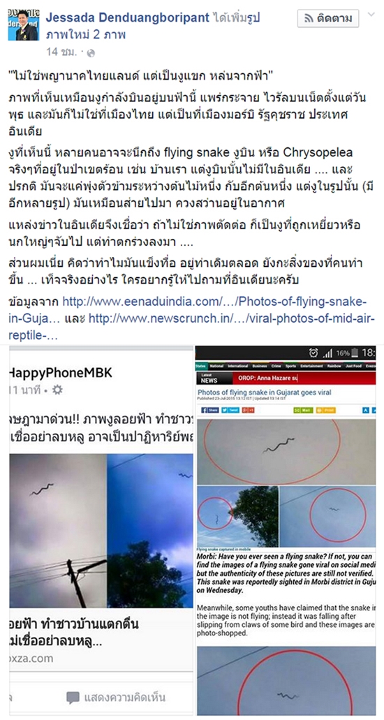 ภาพงูลอยฟ้า ภาพงูลอยฟ้า