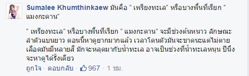 ขนลุก ! สิ่งมีชีวิตประหลาดลอยเหนือน้ำเกลื่อน ชาวเน็ตสงสัยเป็นตัวอะไร ? ขนลุก ! สิ่งมีชีวิตประหลาดลอยเหนือน้ำเกลื่อน ชาวเน็ตสงสัยเป็นตัวอะไร ?