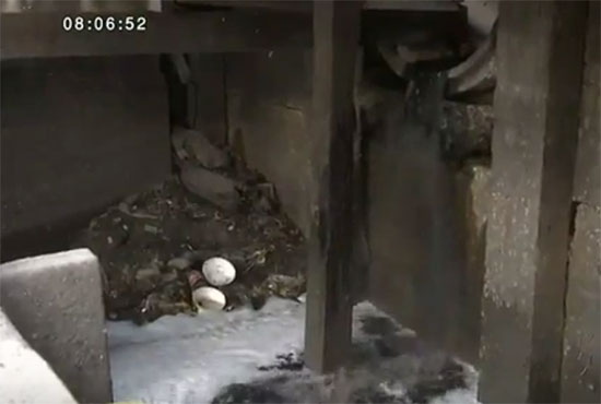 สั่งเร่งแก้ ! คลองเตยน้ำเน่าเสียหนัก ส่งกลิ่นเหม็นรุนแรง สั่งเร่งแก้ ! คลองเตยน้ำเน่าเสียหนัก ส่งกลิ่นเหม็นรุนแรง