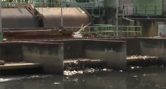 สั่งเร่งแก้ ! คลองเตยน้ำเน่าเสียหนัก ส่งกลิ่นเหม็นรุนแรง สั่งเร่งแก้ ! คลองเตยน้ำเน่าเสียหนัก ส่งกลิ่นเหม็นรุนแรง