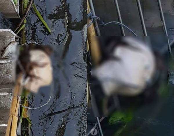 ฆ่าหั่นศพสยองกลางกรุง รวบตัวหนุ่มลาวแล้ว แค้นสาวไม่ยอมแต่งงานด้วย ฆ่าหั่นศพสยองกลางกรุง รวบตัวหนุ่มลาวแล้ว แค้นสาวไม่ยอมแต่งงานด้วย