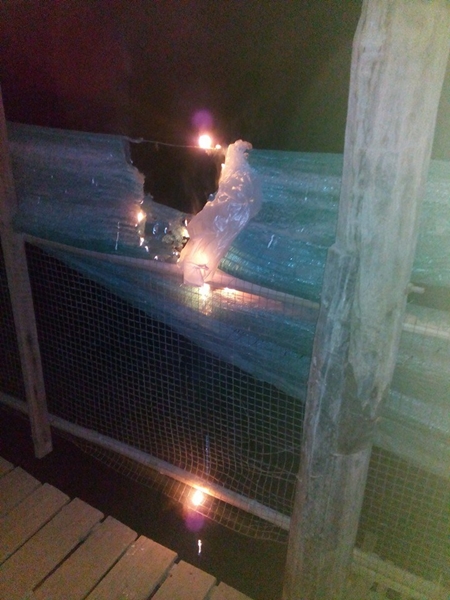 รวม 7 เหตุการณ์หายนะ จากการปล่อยโคมลอย รวม 7 เหตุการณ์หายนะ จากการปล่อยโคมลอย