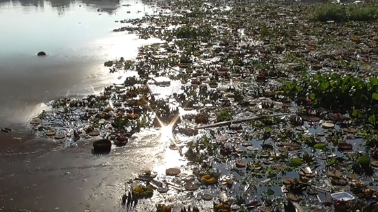 เก็บไม่ทัน ! ขยะกระทงกว่า 100 ตันในแม่น้ำปิง เริ่มเน่าเหม็น เก็บไม่ทัน ! ขยะกระทงกว่า 100 ตันในแม่น้ำปิง เริ่มเน่าเหม็น