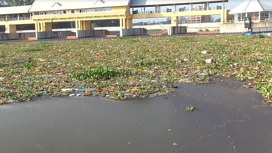 เก็บไม่ทัน ! ขยะกระทงกว่า 100 ตันในแม่น้ำปิง เริ่มเน่าเหม็น เก็บไม่ทัน ! ขยะกระทงกว่า 100 ตันในแม่น้ำปิง เริ่มเน่าเหม็น