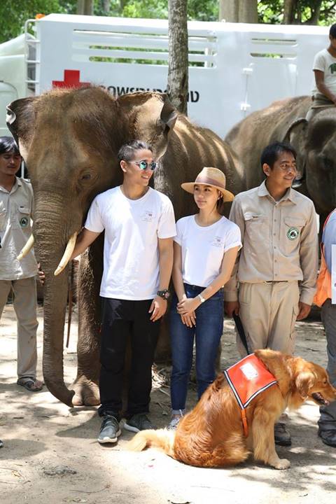 เปิดตัว รถพยาบาลช้าง คันแรกของโลก อีกก้าวสำคัญในการช่วยเหลือช้างไทย เปิดตัว รถพยาบาลช้าง คันแรกของโลก อีกก้าวสำคัญในการช่วยเหลือช้างไทย