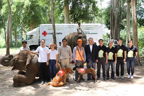 เปิดตัว รถพยาบาลช้าง คันแรกของโลก อีกก้าวสำคัญในการช่วยเหลือช้างไทย เปิดตัว รถพยาบาลช้าง คันแรกของโลก อีกก้าวสำคัญในการช่วยเหลือช้างไทย
